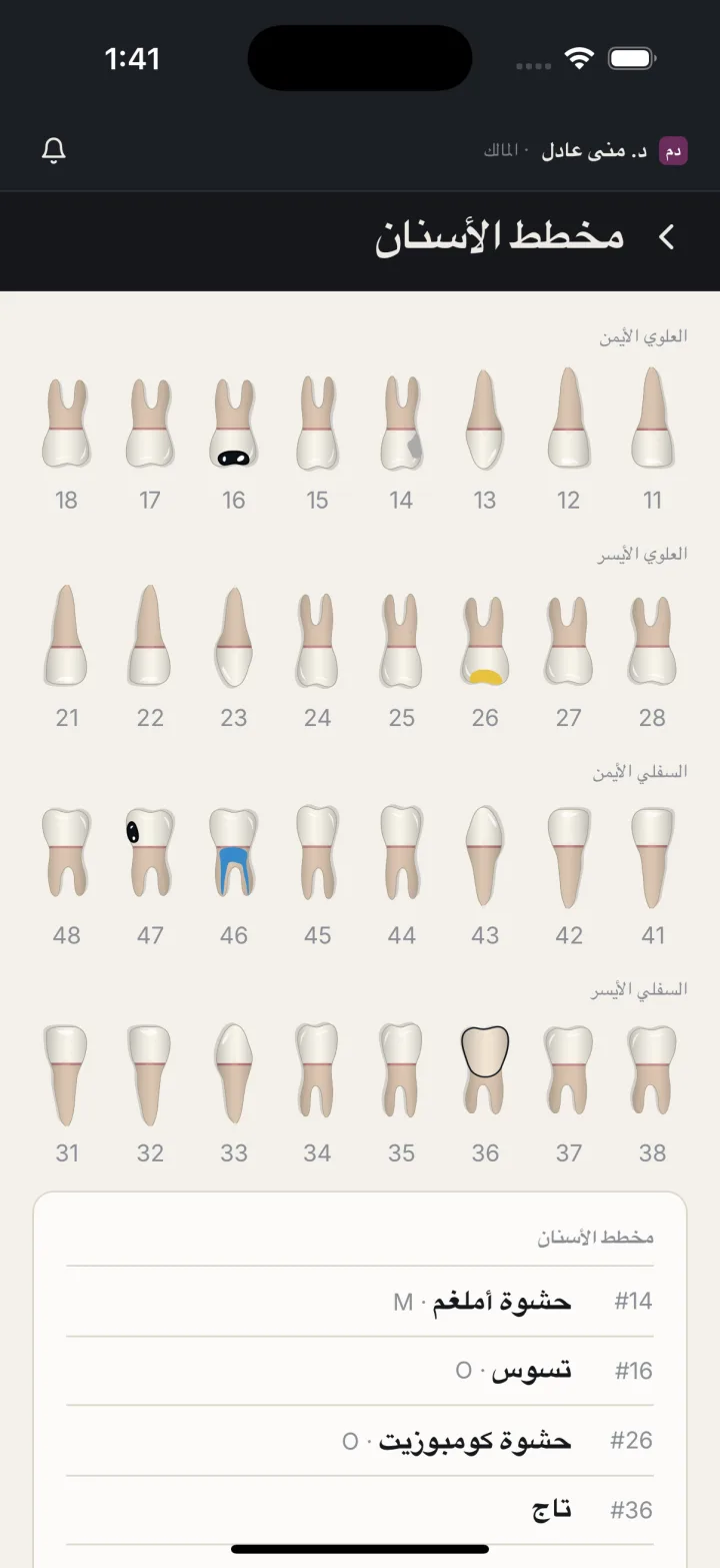 لقطة من التطبيق: مخطط الأسنان بملء الشاشة